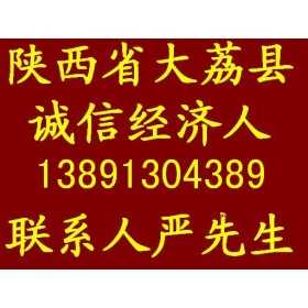 陜西大荔農副果品專業合作社