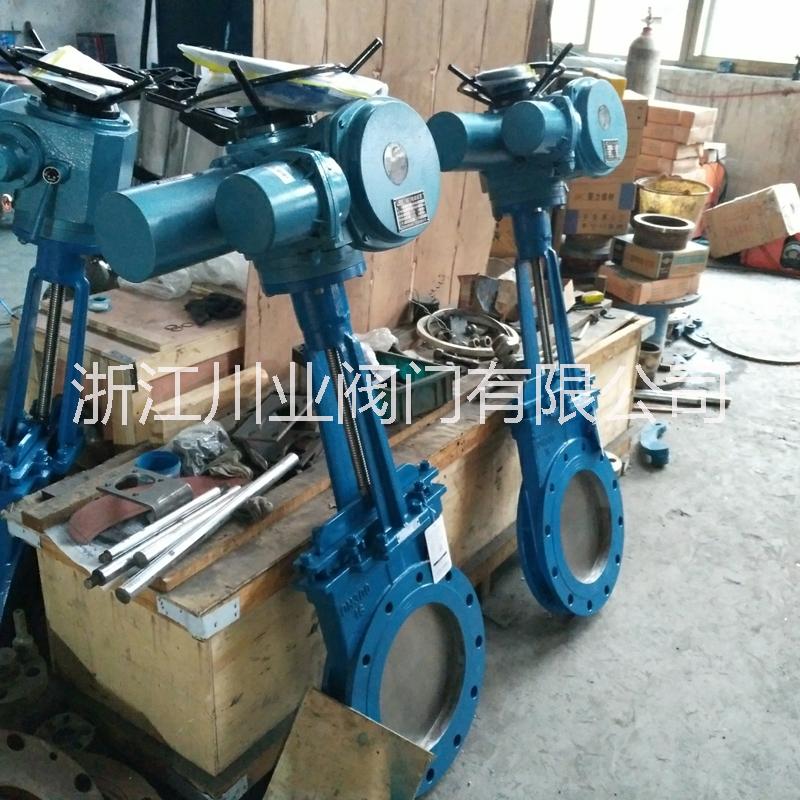 電動(dòng)排渣刀閘閥_PZ973H_10C