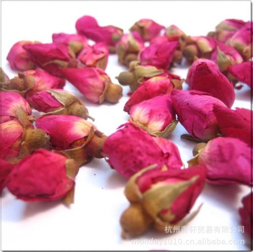 陜西滕燦花類種子批發