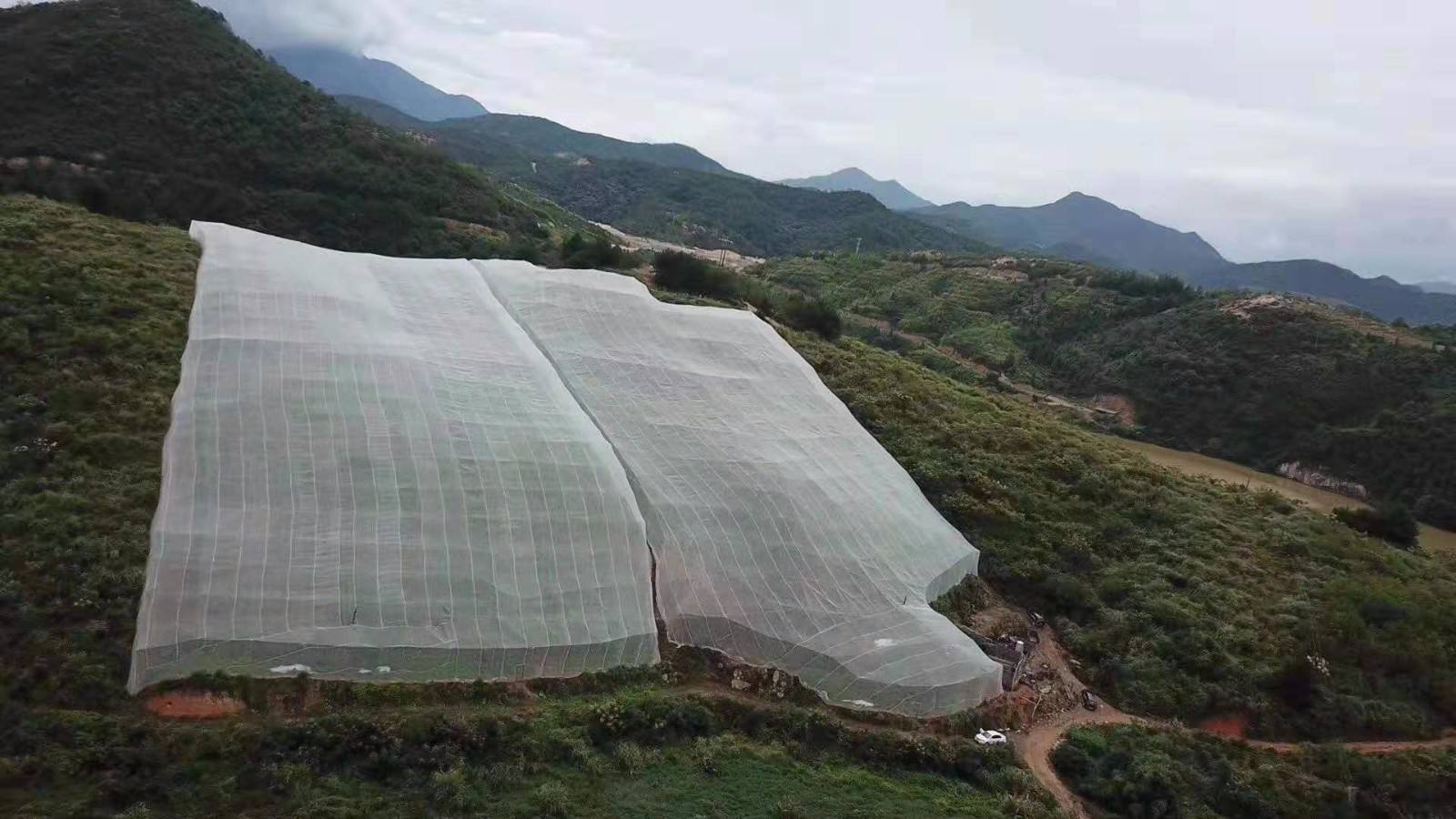 大寬幅果樹防蟲網臍橙加厚防蟲網工廠直發