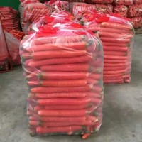 陜西萬畝優質紅蘿卜產地批發價格
