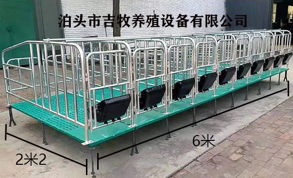 母豬限位欄_復合加厚_泊頭市吉牧養殖設備有限公司